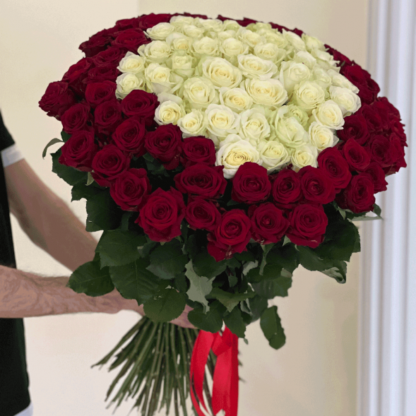101 роза красная и в середине белая в Партените