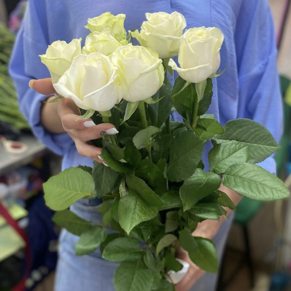 Букет 7 белых роз в Партените