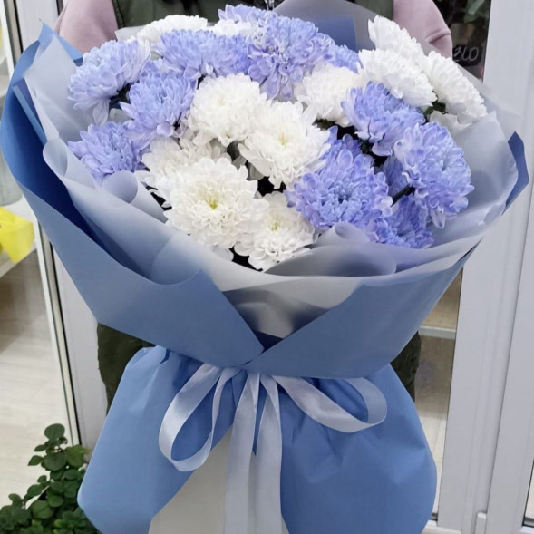 7 белых и голубых хризантем  в Партените