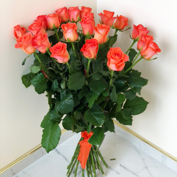 21 коралловая роза, лента в Партените