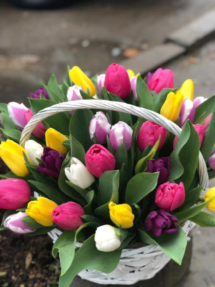41 тюльпан микс в корзине в Партените