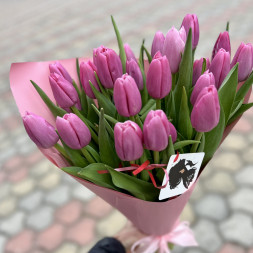 21 розовый тюльпан