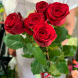 5 красных роз в Партените