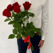 5 красных роз в Партените