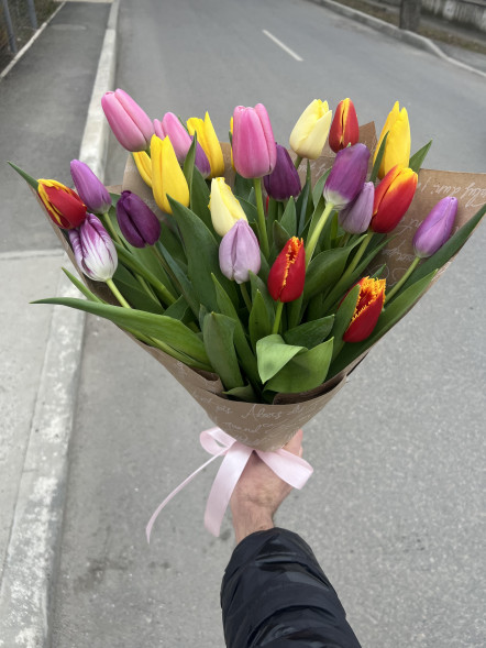 25 тюльпанов микс в упаковке в Партените