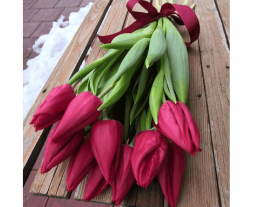 11 красных тюльпанов, лента