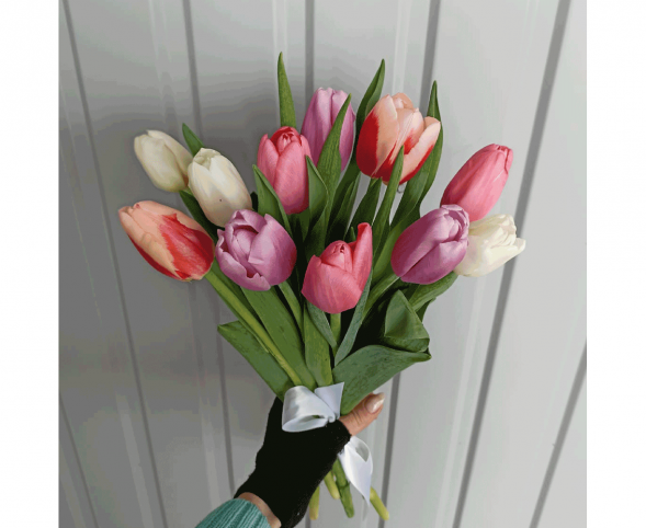 11 тюльпанов цвета микс, лента в Партените