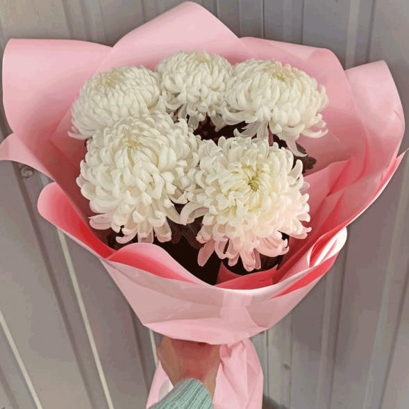 Букет 5 одноголовых хризантем в Партените