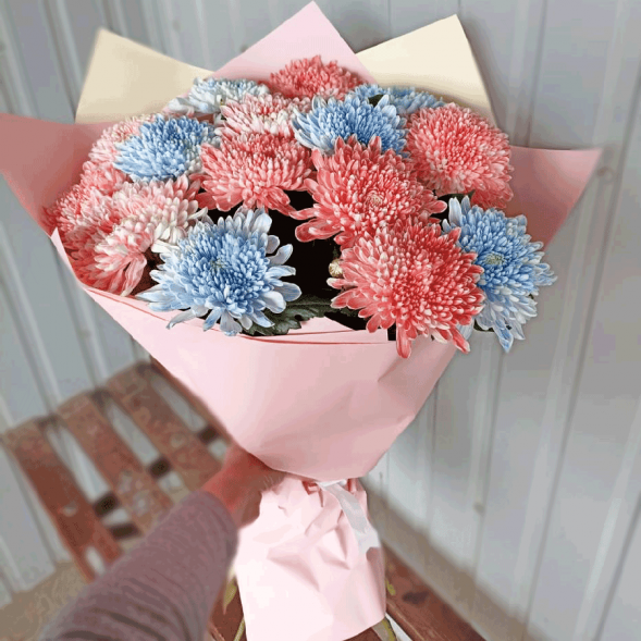 15 одноголовых хризантем микс в Партените