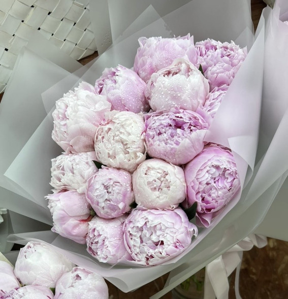 15 пионов Сара Бернар в Партените