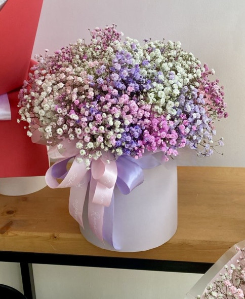 Коробочка с гипсофилой в Партените